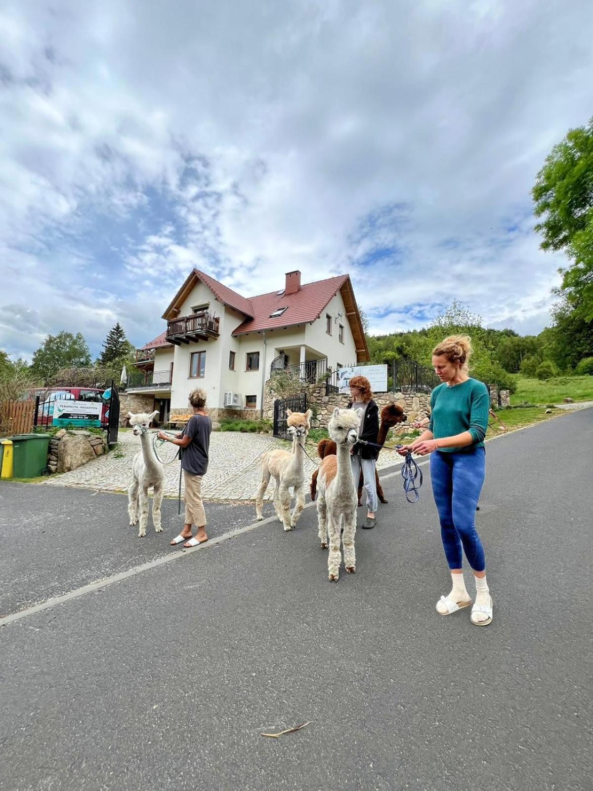Ferienwohnung Strefa Ciszy -Lawenda Świeradów-Zdrój Exterior foto