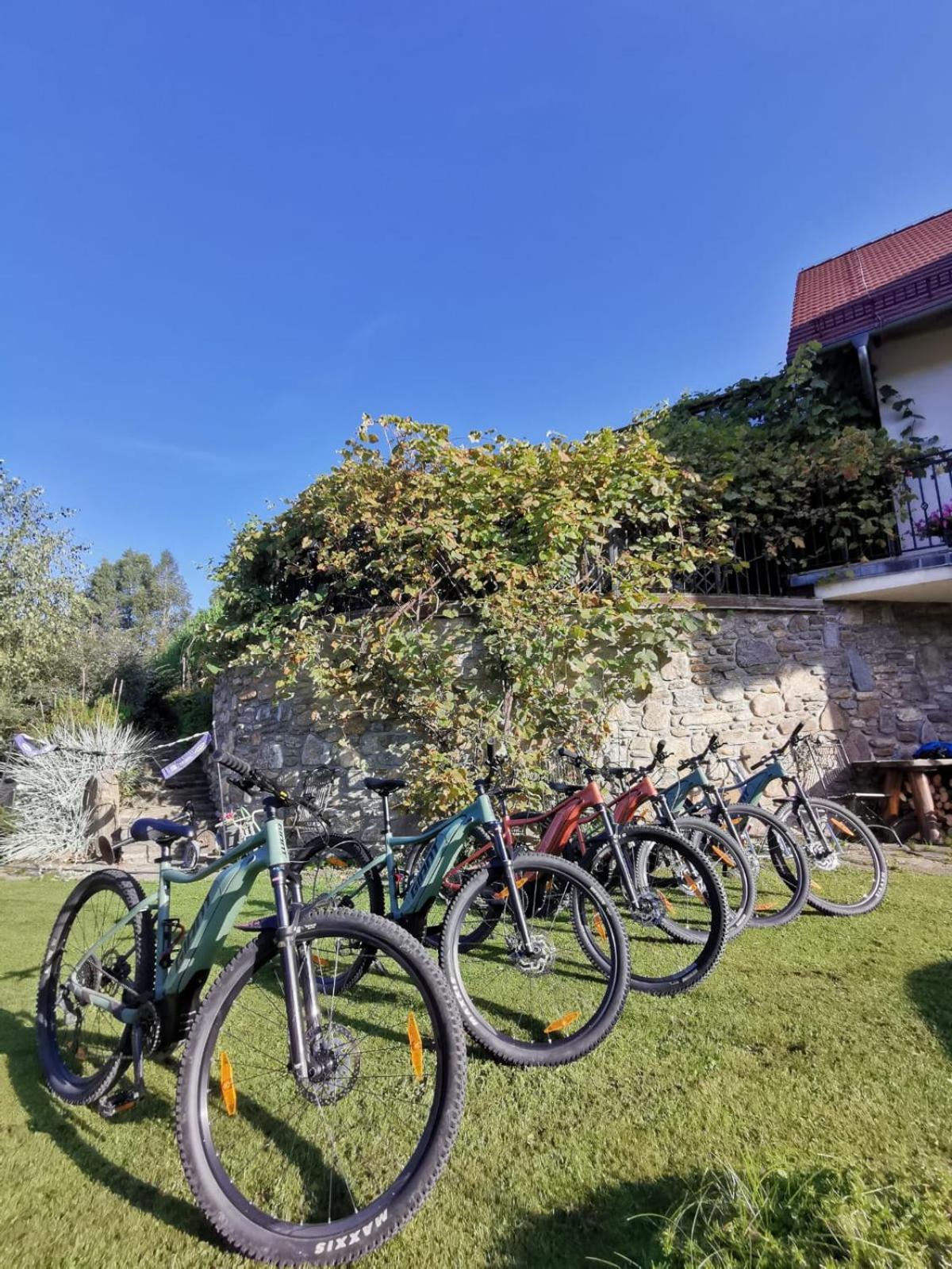Ferienwohnung Strefa Ciszy -Lawenda Świeradów-Zdrój Exterior foto