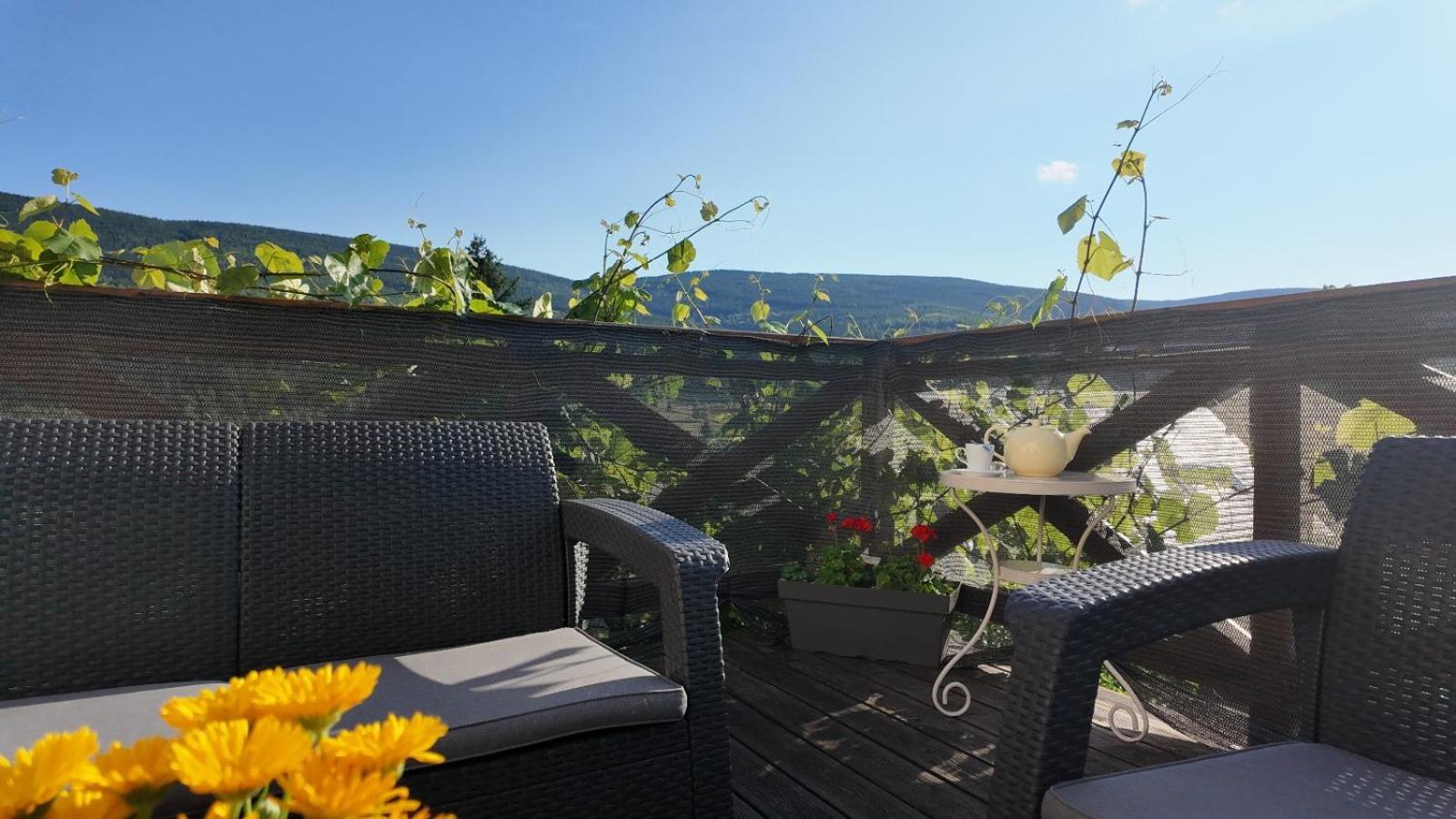 Ferienwohnung Strefa Ciszy -Lawenda Świeradów-Zdrój Exterior foto